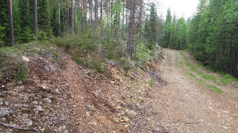 laavulle (laavu, tulikehä, puuvaja,