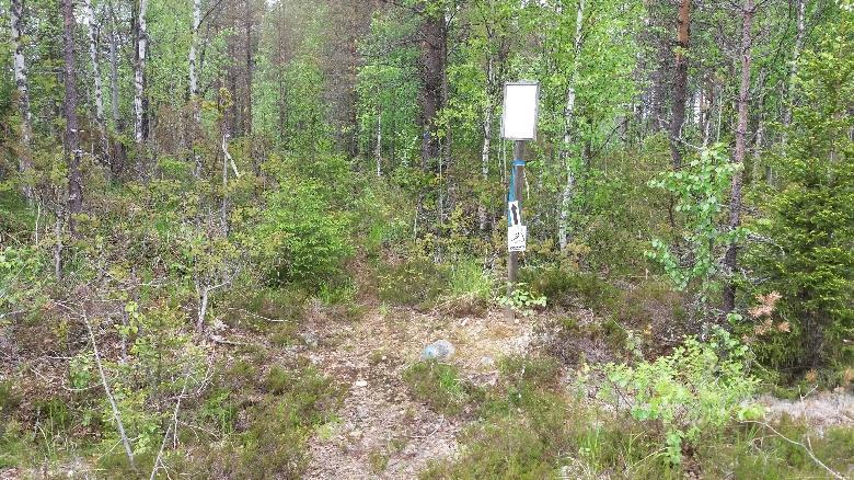 Lopulta polku laskee harjulta ja alla kulkeneen tien päätysilmukasta