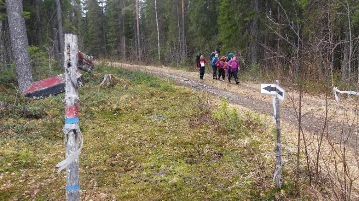 Kolilta on yhteys erittäin suositun Herajärven kierroksen kautta Kolin polulle Kontiolahden Uuroon ja edelleen Jaamankankaan reittejä Joensuun keskustaan.