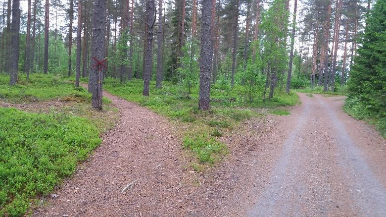 Tältä reitti eroaa 200m päässä etuvasemmalle seuraavan talon kohdalla.