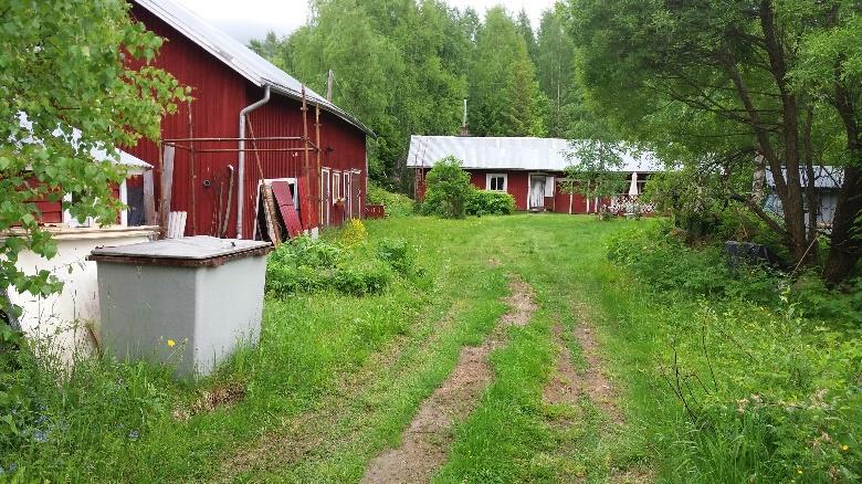 Tie nousee viljelysten välistä pienelle mäelle ja