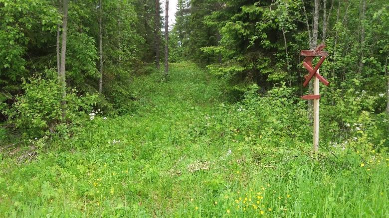 Reitti jatkuu niityn viertä vasemmalle ja hieman