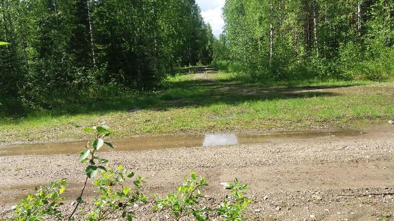 Viitat UKK-maja 17km, Tavikoski 13km, Valtimo 5km.