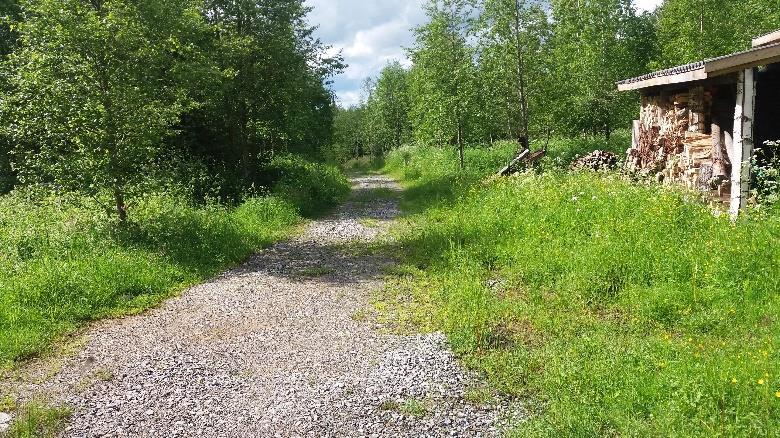 ruohottuneeksi uraksi.
