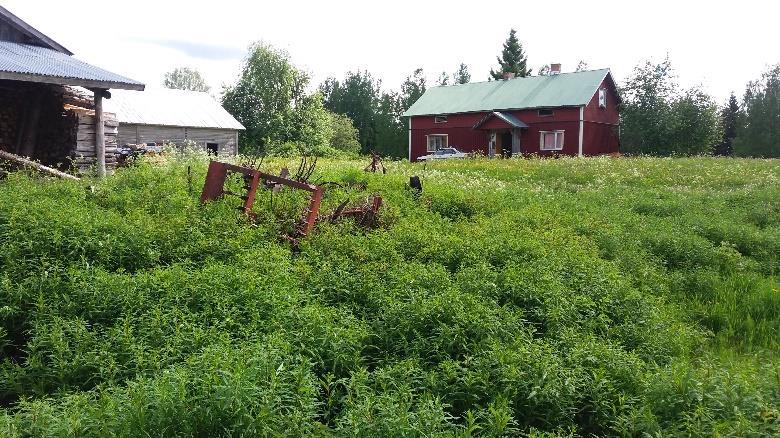 häviää, suunta entinen. Lisäsin muutaman kuitunauhan.