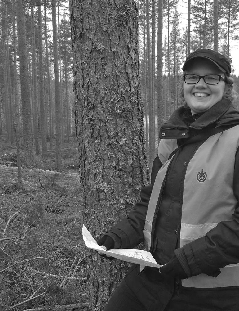 PUUN MYYNTI KÄYNNISTYY PUUNMYYNTISUUNNITELMALLA Metsänhoitoyhdistyksen tekemä laadukas puunmyyntisuunnitelma varmistaa parhaat mahdolliset edellytykset puun myynnille.