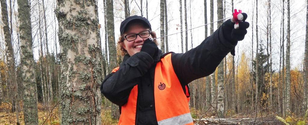 Puunkorjuulle sopivan vuodenajan ja korjuumenetelmän. Arvion hakattavan puuston määrästä sekä puunmyyntitulosta vallitsevassa markkinatilanteessa.