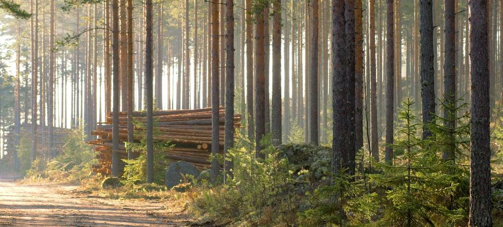 Pyydämme tarjoukset ostajilta, vertailemme ja suosittelemme sinulle parasta vaihtoehtoa. Voit itse päättää, minkä tarjouksen hyväksyt.