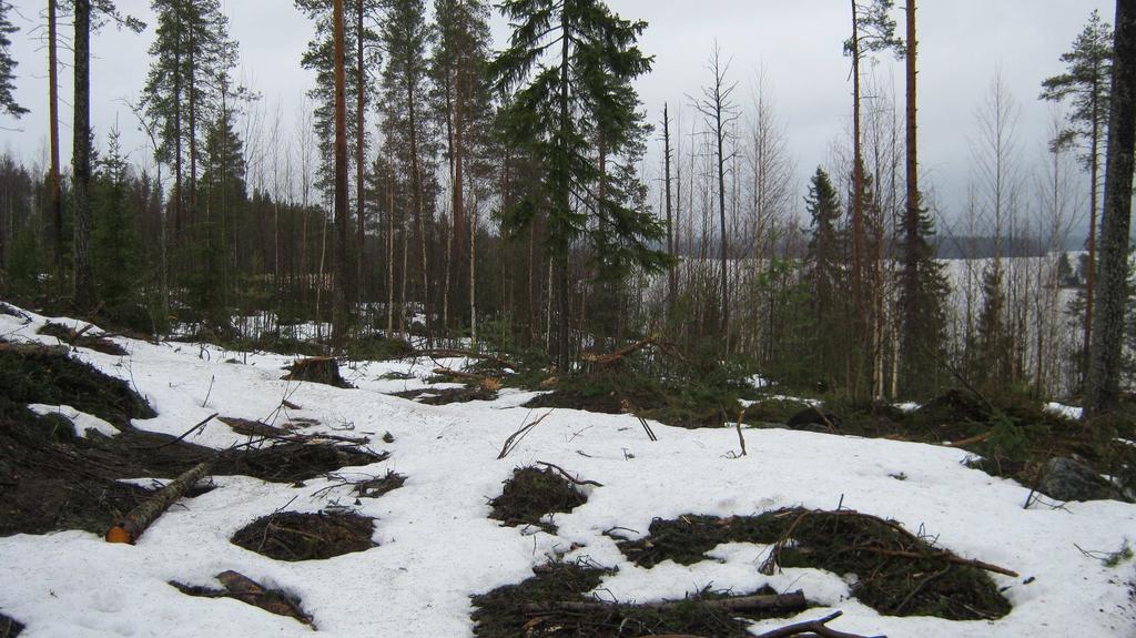 FCG Suunnittelu ja tekniikka Oy Kaavaselostus, luonnos 2 (10) 1.3 Kaavan nimi ja tarkoitus Kaava on nimetty sen alueen perusteella, jonka osaa muutos koskee.