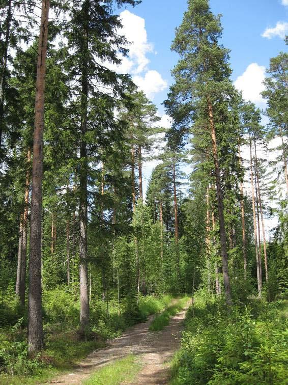 Sukula-Häiviä osayleiskaava 12.10.