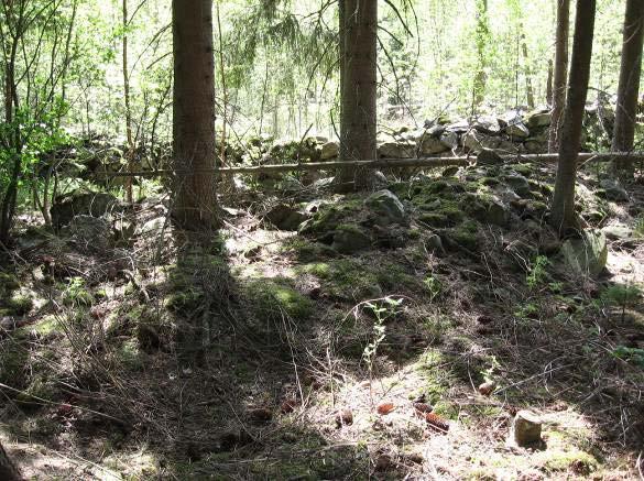 Metsän keskellä on kymmeniä metrejä pitkiä 1-1,2 metrin korkuisia