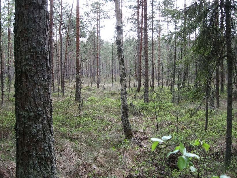 Sukula-Häiviä osayleiskaava 12.10.