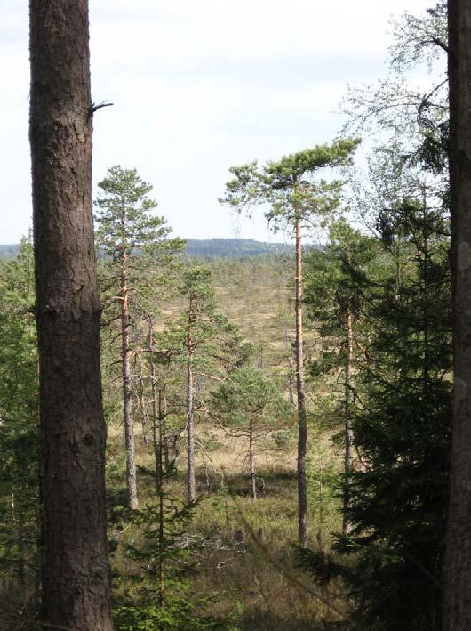 Sukula-Häiviä osayleiskaava 12.10.