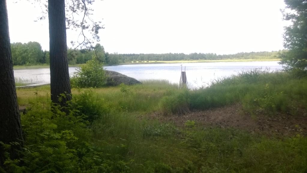 MIEHIKKÄLÄ K-Vizit Oy MIEHIKKÄLÄN