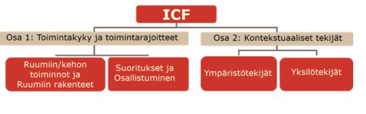 ICF kuvaa toimintakykyä Kansainvälinen toimintakyvyn, toimintarajoitteiden ja terveyden luokitus (ICF) kuvaa, miten sairauden ja vamman vaikutukset näkyvät yksilön elämässä.