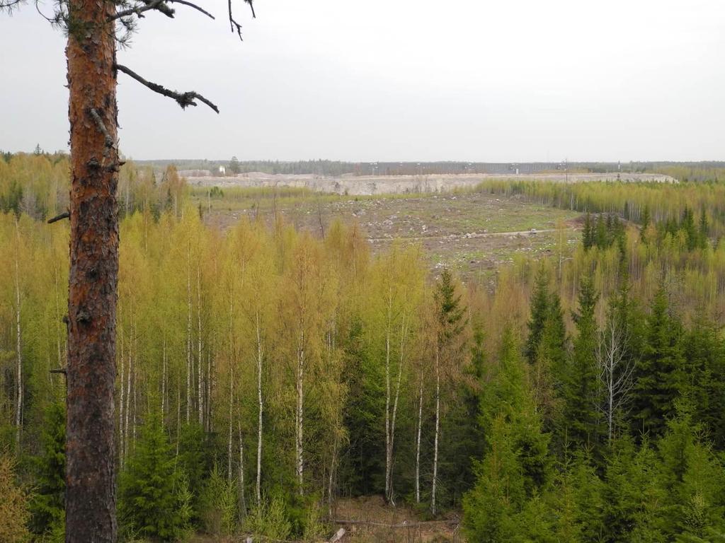 TUTKIMUSRAPORTTI BASTUKÄRR, SIPOO LUONTOSELVITYKSET 2012