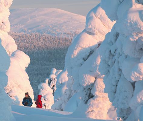 Tuon kanssa minä piru menin naimisiin. kuittaili Tyyre heidän ollessaan kyläilemässä.