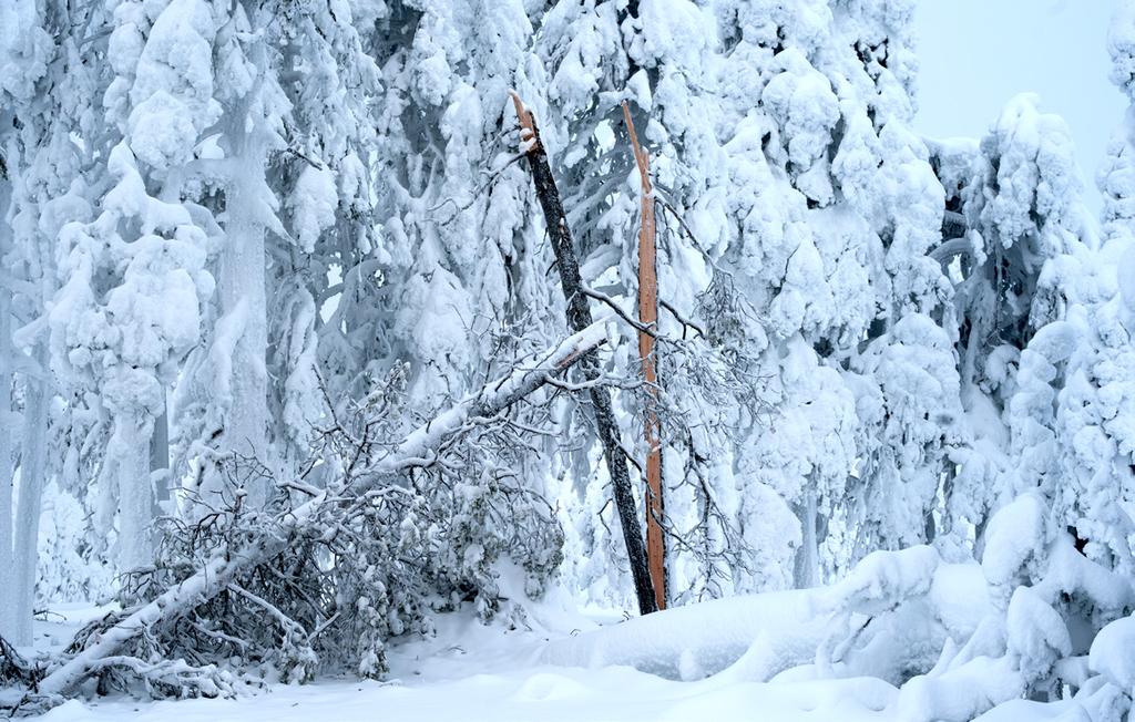 Tuli kova tykistökeskitys. Siinä maattiin teltassa. Mulla oli reppu pään alla. Repussa oli mantteli ja jalkarätit toisessa repuntaskussa. Pieni kuusenkanto oli minun ja Väinön pään välissä.