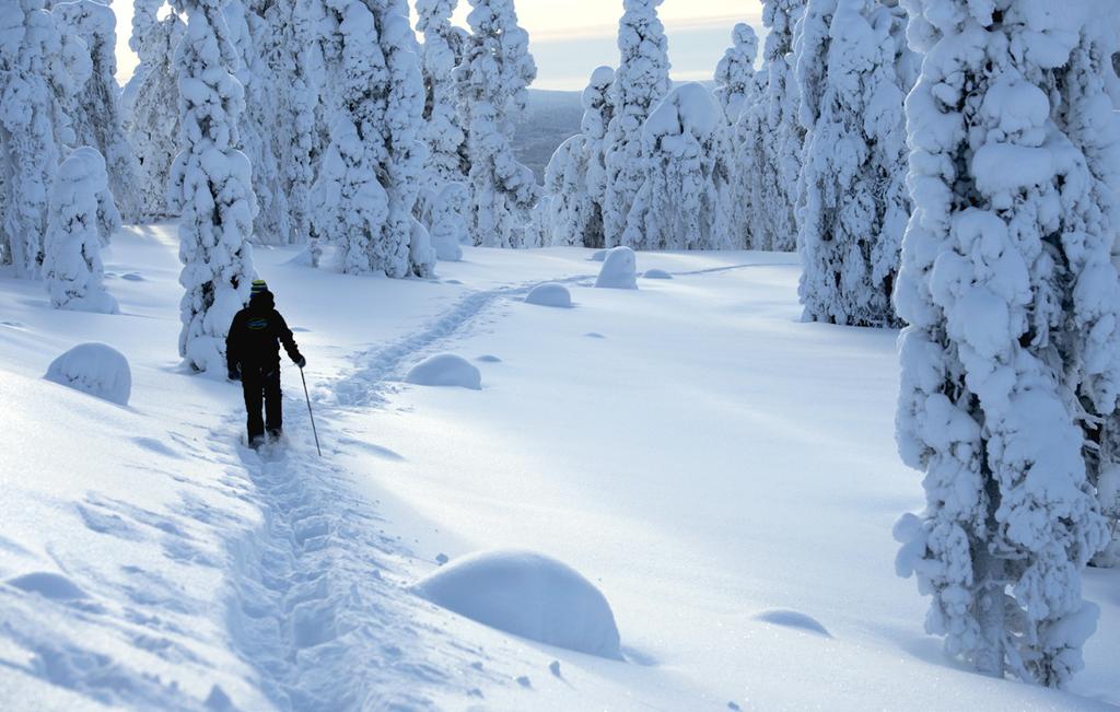 JOUNI & POSTIN ELSA Palveluja kylälle Kauppias Jouni Kaulanen (97 997) ja postin