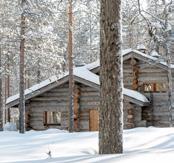 Komea saarnilankkuparketti ja muurattu takka, jossa on käytetty Altan kiveä.