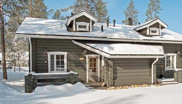 Snow, Northern lights night after night (many through back window), skidoo rides over hills and through forests. Great cabin warm and well maintained.
