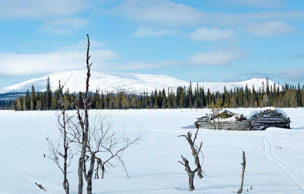 Mitä Ylläs tarkoittaa? Nimi ei voi olla saamea, koska siinä on y-äänne. Sen sijaan löytyy sanoja, jotka ovat voineet vaikuttaa nimen syntyyn. Näitä ovat mm.