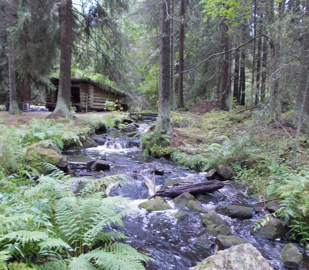 RAPORTTEJA 3 2015 Ympäristön tilan