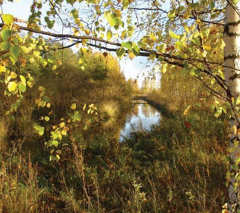 Helsingin kaupunki 3