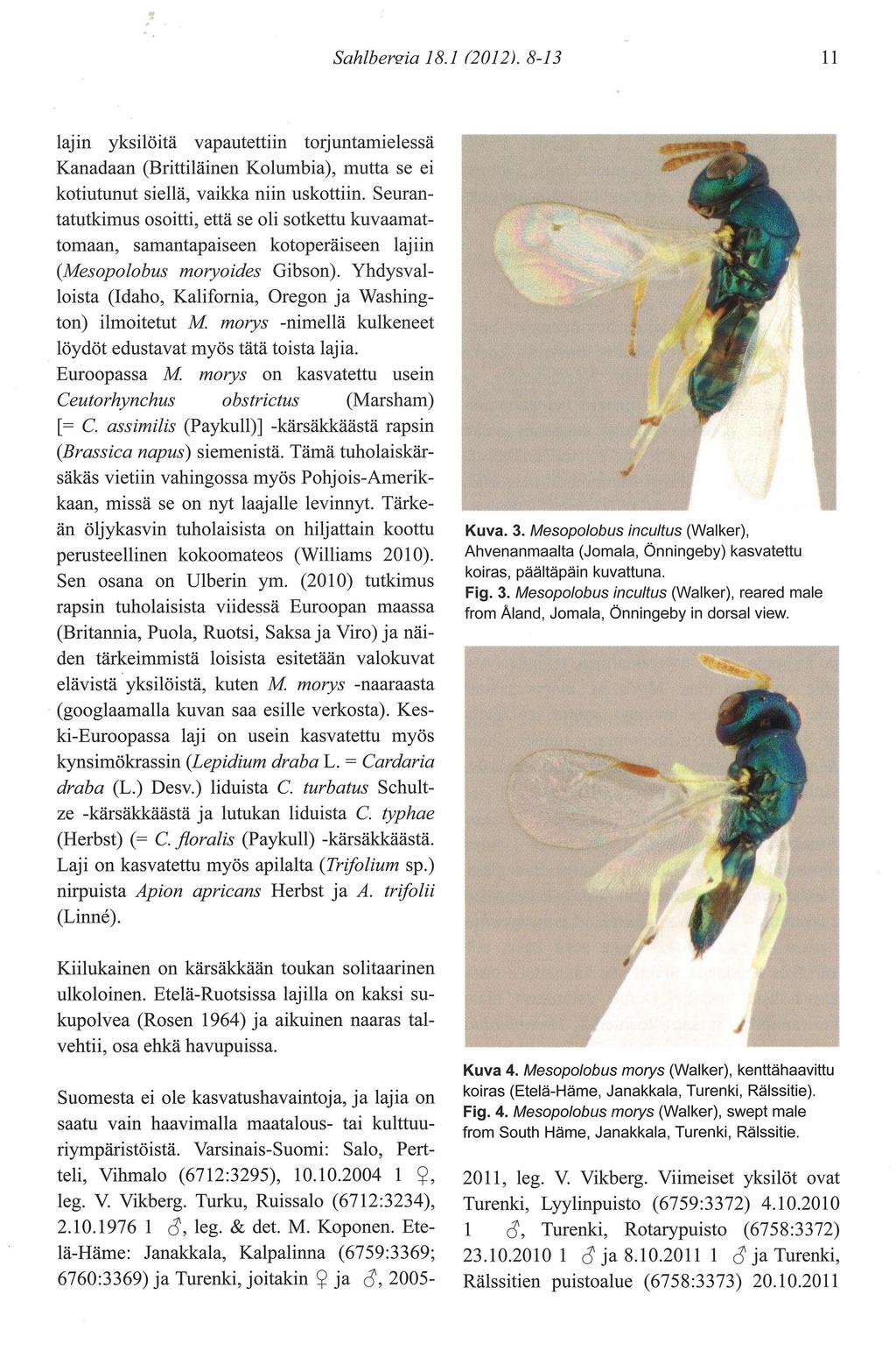 Sahlbersia lajin yksilöitä 1 8. 1 201 2). 8-1 3 11 vapautettiin torjuntamielessä Kanadaan (Brittiläineiì Kolumbia), mutta se ei kotiutunut siellä, vaikka niin uskottiin.