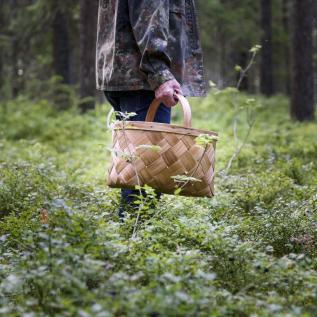 Kerhoillois vetäjämme Nikun kakkoskotiin Nuuksiossa.