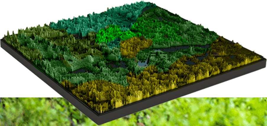 Metsävaratieto mitä, miksi ja miten? Webinaari 21.4.2017 klo 9.00 11.