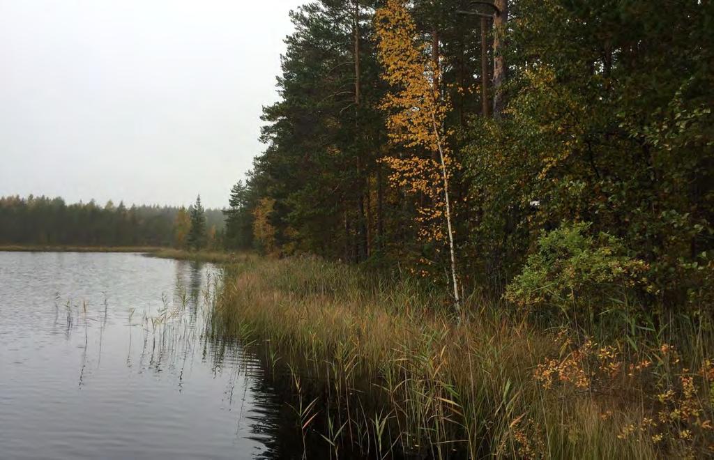 KANKAANPÄÄN KAUPUNKI Kankaanpään kaupungin