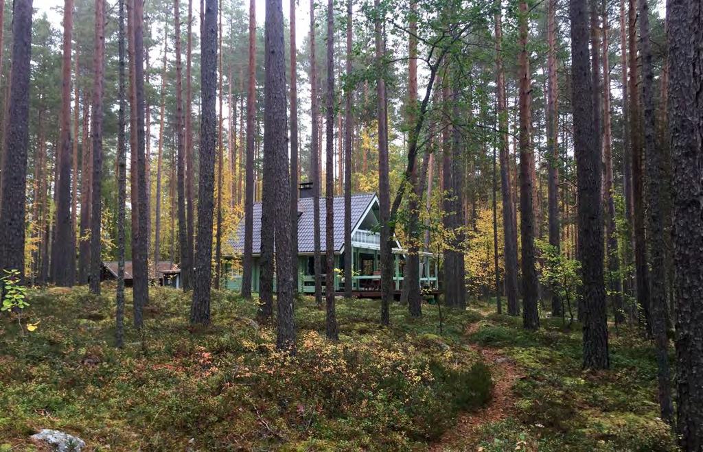 8 Tontille 4 sijoittuva rakennus 3.1.4 Maanomistus Palvelut Kankaanpään keskustan palvelut ovat 22km etäisyydellä.