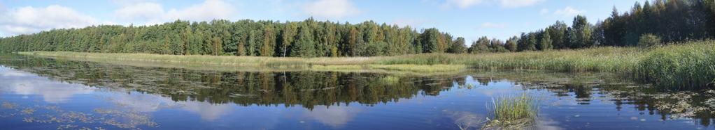 5 Kasvillisuus kuva 2. ulpukka ja karvalehti ovat vallanneet suuret osat Syväjärven matalilta koillis- ja lounaisosista.