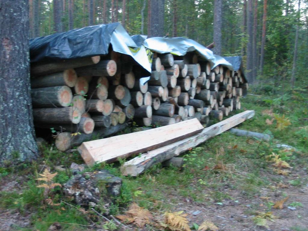 050 545 6667, 448 3055 Valkeinen: Uudet pitkospuuvärkit