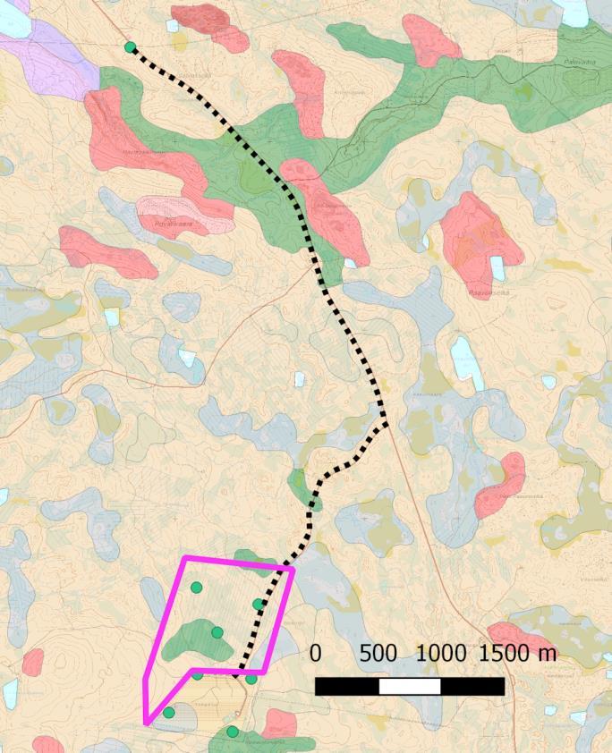 Mäntyvaltaiset kuivahkot kangasmetsät ovat yleisiä ja kuusi- ja koivuvaltaisia metsiä on alle puolet metsistä (Lappalainen 1998).