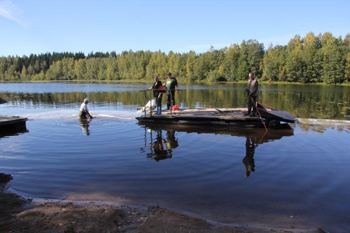 sorastettaessa järvenpohjaa sulanveden aikana.