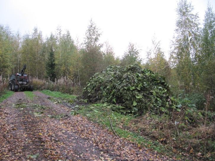 Kalakanta Kesän aikana haukea ja ahventa on saatu runsaasti virvelöinnillä, samoin suutaria ja jonkin verran ruutanaa on katiskapyynnillä.