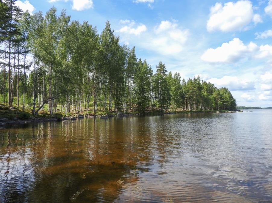 2. Maastomenetelmät ja aineisto Luontokartoittaja (eat) Petri Parkko teki maastokäynnin alueelle 28.6.2016.
