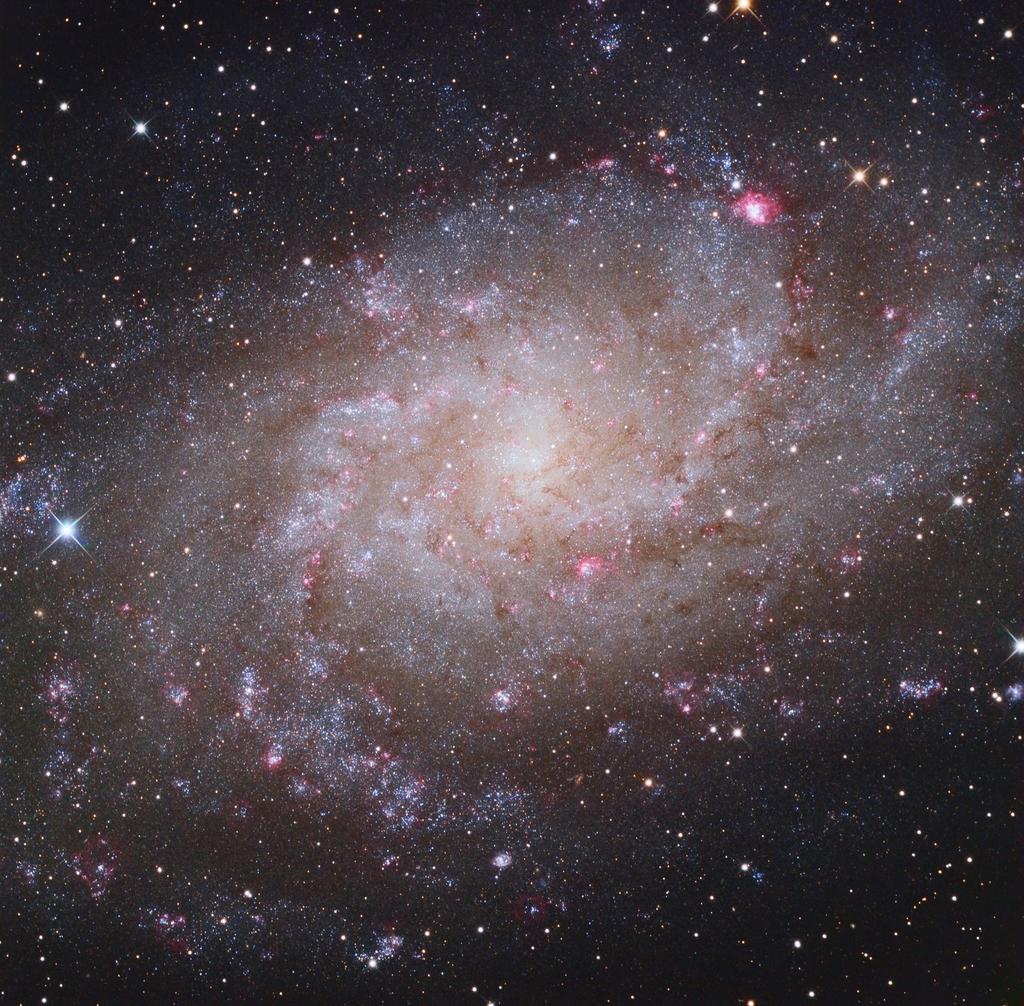 Andromeda-galaksilla on myös suuri joukko himmeitä seuralaisgalakseja ja kaksi lähellä olevaa kirkasta