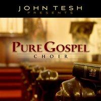 0792755572924 Formaatti: CD Hintakoodi: 330 Yksikkö: 1 Tesh, John - Pure Gospel