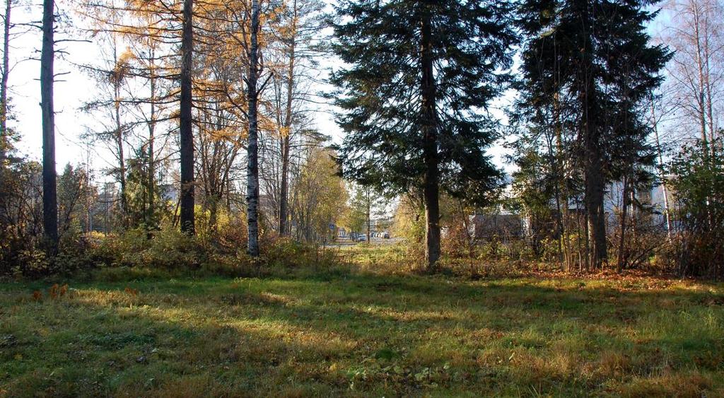 Kuva 10. Alpinkadun linjauksen Paasikivenkadun itäpuolelta. Tekninen huolto Päiväkoti kytketään alueelliseen tekniseen verkostoon.