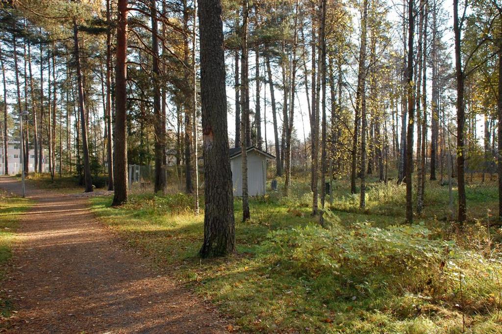 214005187 7 3.1.2 Luonnonympäristö Kaavamuutos sijoittuu Salokankaankallion puistoalueen itäreunalle varsinaisen kallioalueen alapuolelle.