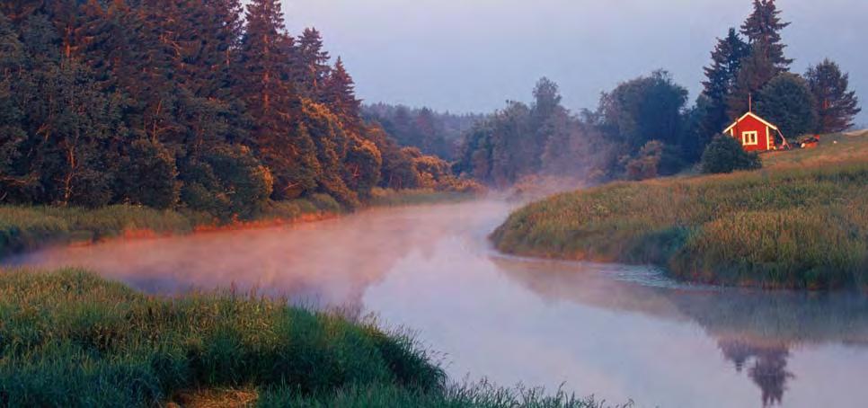 Kulttuurimaisema Aurajokilaaksossa ihminen ja luonto ovat yhdessä muovanneet maisemaa. Jokilaakso on valittu yhdeksi Suomen kansallismaisemista.