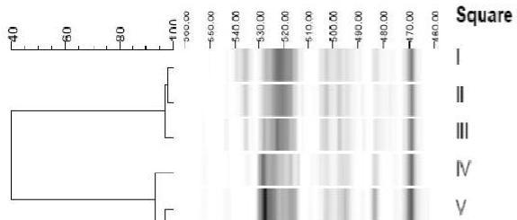 Toksisuuden, mikrobiston ja hajotuskyvyn muutos horisontaalisessa öljygradientissa Valobakteeritesti (Flash) Bakteeriyhteisörakenne (LH-PCR) Mikrobibiomassa (FE) 60 40 Inhibition % II IV VI 20 0-20