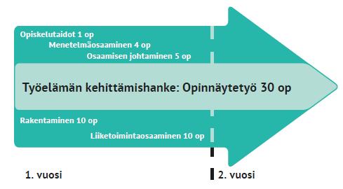 Esimerkkejä koulutuksen sisällöstä: Opinnäytetyö keskeisenä osana tutkintoa: Opinnäytetyö tehdään useimmiten kehittämishankkeena omalle työpaikalle.