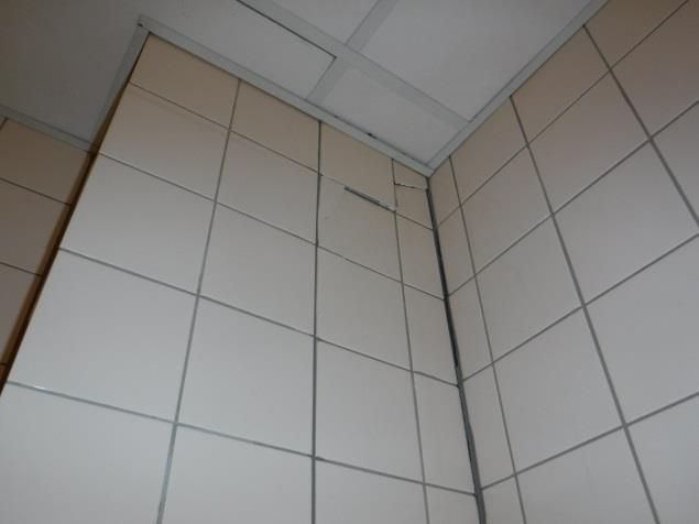 14 (15) Kylpyhuonetilojen silikonisaumoissa on havaittavissa tummumia, mikä yleisimmin viittaa ilmanvaihdon puutteellisuuteen. Kuva 4.7.