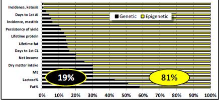 EPIGENETIIKAN ROOLI TUOTOKSESSA, TERVEYDESSÄ JA HEDELMÄLLISYYDESSÄ (JACK BRITT 2016) EPIGENETIIKAN VAIKUTUKSET