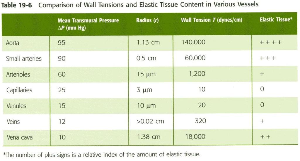 Suonen seinämän pitää kestää seinämäjännitystä Positiivinen korrelaatio seinämäjännityksen ja elastisen kudoksen määrän