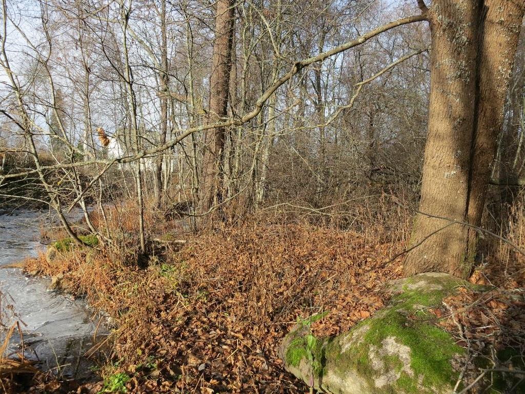 KAAVASELOSTUS EURAJOKI KÖYRYN - KETUNPESÄN ALUEEN